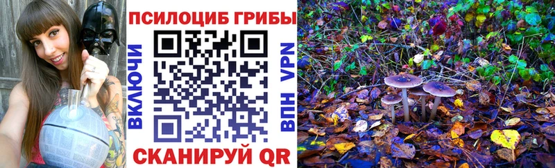 Псилоцибиновые грибы MAGIC MUSHROOMS  Николаевск-на-Амуре 